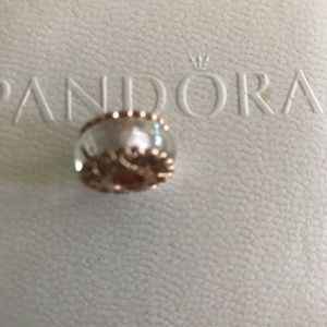 Original Brand New Pandora Rose Tone Murano Bead